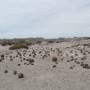 Argentine - Parc Ischigualasto