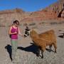 Argentine - quebrada