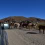 Bolivie - 