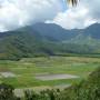 USA - paysage de Kauai