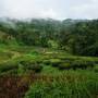 Thaïlande - Trekking