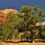 USA - Zion Canyon