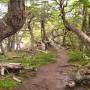 Argentine - parque Tierra Del Fuego