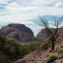 Australie - Kata Tjuta bis