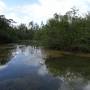 Belize - lodge