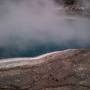 Nouvelle-Zélande - ROTORUA - parc Tehokowhitu-a-tu