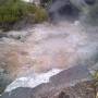 Nouvelle-Zélande - ROTORUA - parc Tehokowhitu-a-tu