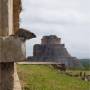 Mexique - Uxmal - Iguane