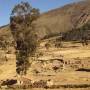 Bolivie - Campagne environnante