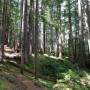 Canada - Flower ridge trail