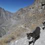 Pérou - Trel Canyon del Colca