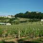 France - COTEAUX DE SANCERRE