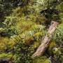 Nouvelle-Zélande - Les jardins japonais créés par la mousse