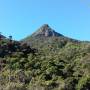 Sri Lanka - ADAMS PEAK