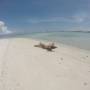 Indonésie - Komodo Islands Boat Trip