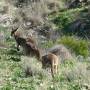 Australie - Rando dans les Flinder Ranges