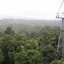 Australie - Skyrail au dessus de la forêt