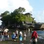 Indonésie - Tanah lot, le temple le plus important