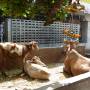 Inde - Dans le temple...