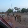 Burkina Faso - Rentrée au village