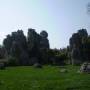 Chine - Stone forest