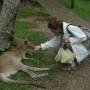 Australie - Parc de Kuranda (Queensland)