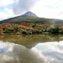 Argentine - tierra del fuego