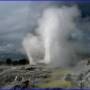 Nouvelle-Zélande - Geyser de Pohutu