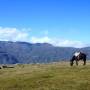 Argentine - Tafi del Valle, un berger pendant sa sieste...