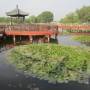 Chine - Summer Palace