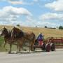 Canada - Faneuse à cheval