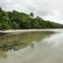 Australie - plage cape Tribulation