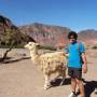 Argentine - Quebrada de Las Conchas Lama djo