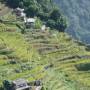 Inde - Treck du Sanctuaire des Annapurnas