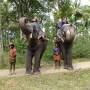 Inde - Ballade en elephant