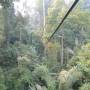 Laos - Gibbon Experience