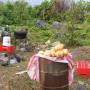 Saint-Vincent-et-les-Grenadines - Noix de coco...