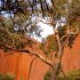 Australie - Uluru