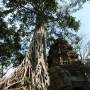 Cambodge - Angkor